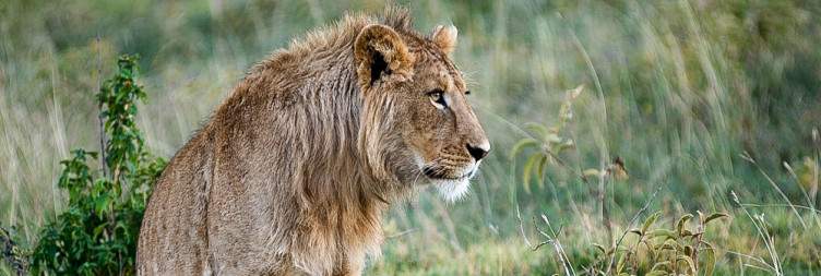 6-Day Amazing Wildlife and Cultural Experience Safari