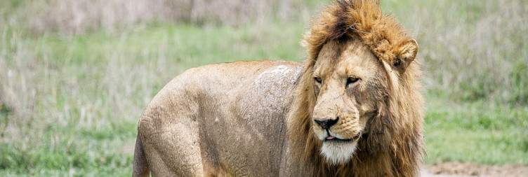 6-Day Tanzania Wounders Budget Safari