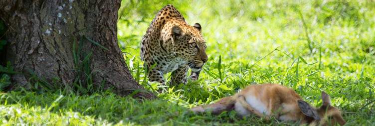 7-Day Tanzania Budget Adventure Safari