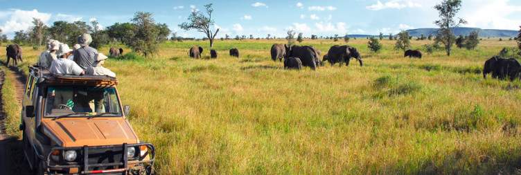 6-Day Tarangire, Serengeti, Ngorongoro & Lake Eyasi Safari