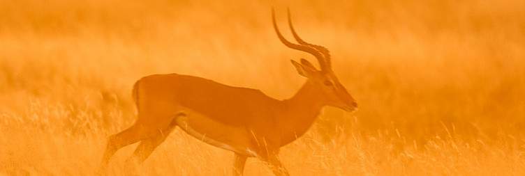 7-Day Tanzania Romantic and Cultural Safari