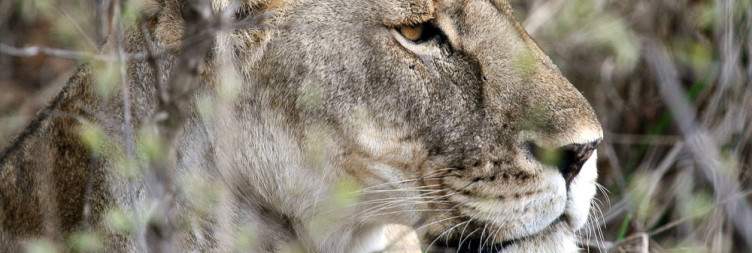 7-Day Tanzania Nature and Cultural Safari