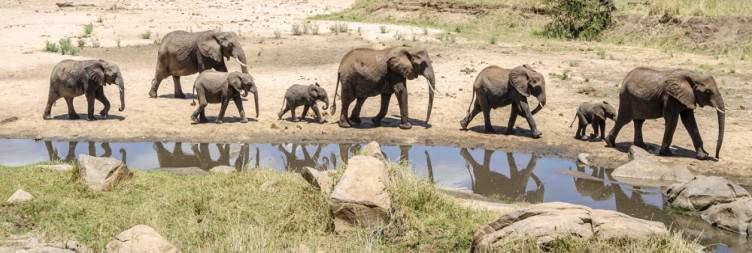 6-Day Tarangire, Serengeti, Ngorongoro & Lake Eyasi Safari